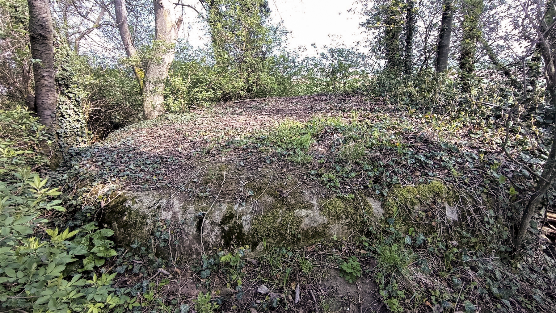 Ligne Maginot - BUCHHOLZBERG - O76 - (Observatoire d'artillerie) - La dalle 