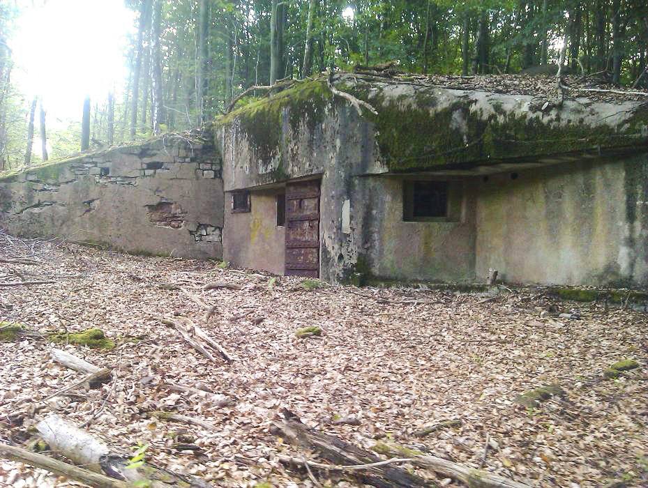 Ligne Maginot - NONNENHARDT N°4 (Blockhaus pour arme infanterie) -  - donceuh