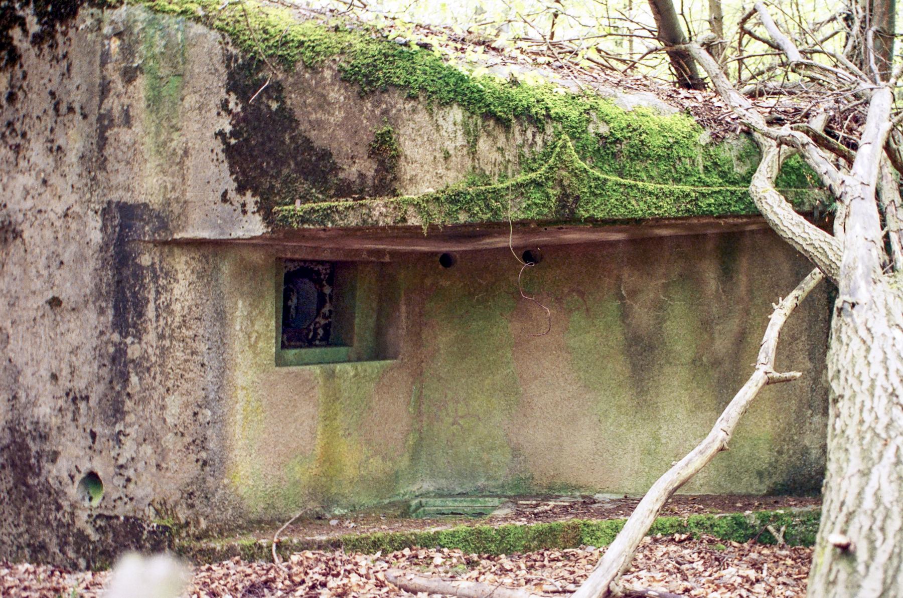 Ligne Maginot - NONNENHARDT N°4 (Blockhaus pour arme infanterie) -  - Lia VERMEULEN