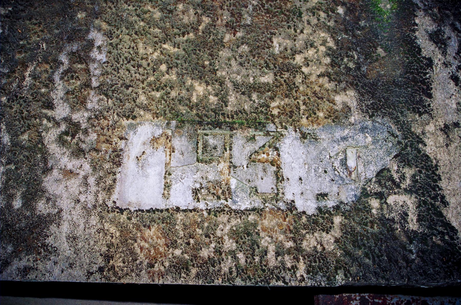 Ligne Maginot - NONNENHARDT N°4 (Blockhaus pour arme infanterie) -  - Lia VERMEULEN