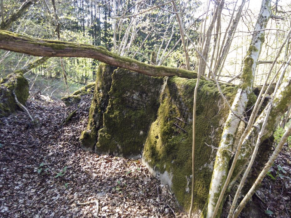 Ligne Maginot - C3 - SCHMELZBACH 1 - (Blockhaus pour canon) - 