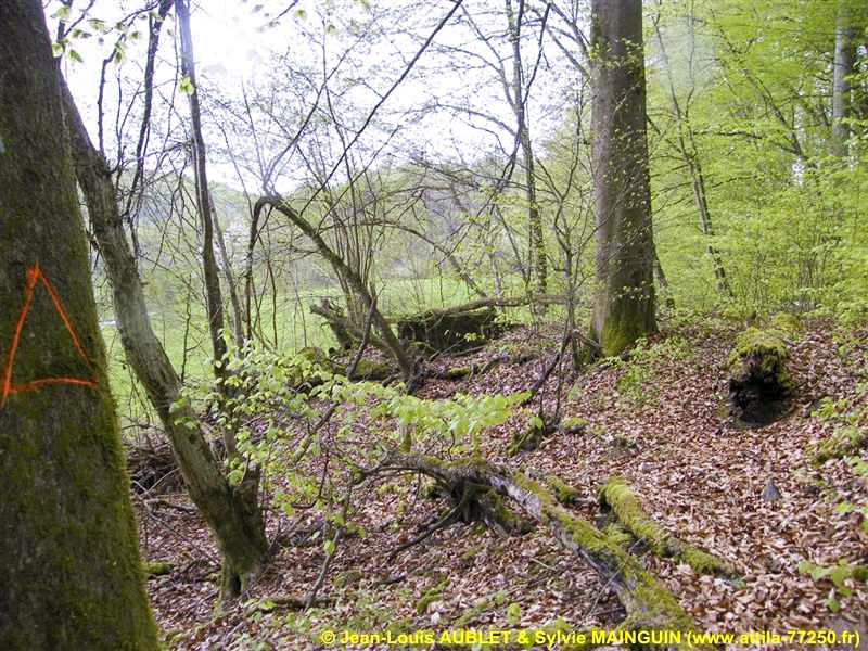 Ligne Maginot - C3 - SCHMELZBACH 1 - (Blockhaus pour canon) - 
