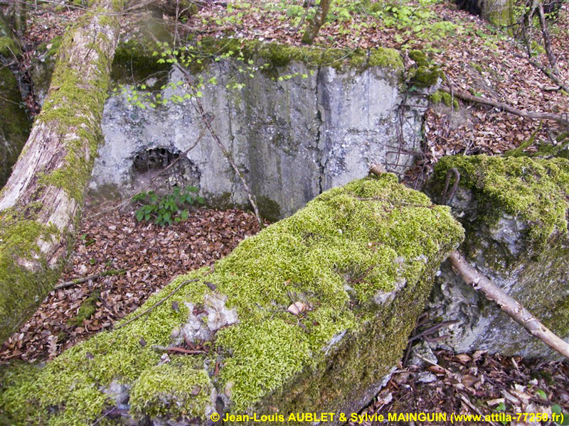 Ligne Maginot - C3 - SCHMELZBACH 1 - (Blockhaus pour canon) - 