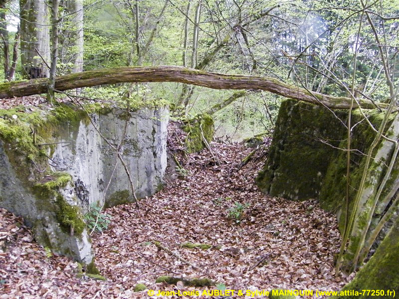 Ligne Maginot - C3 - SCHMELZBACH 1 - (Blockhaus pour canon) - 