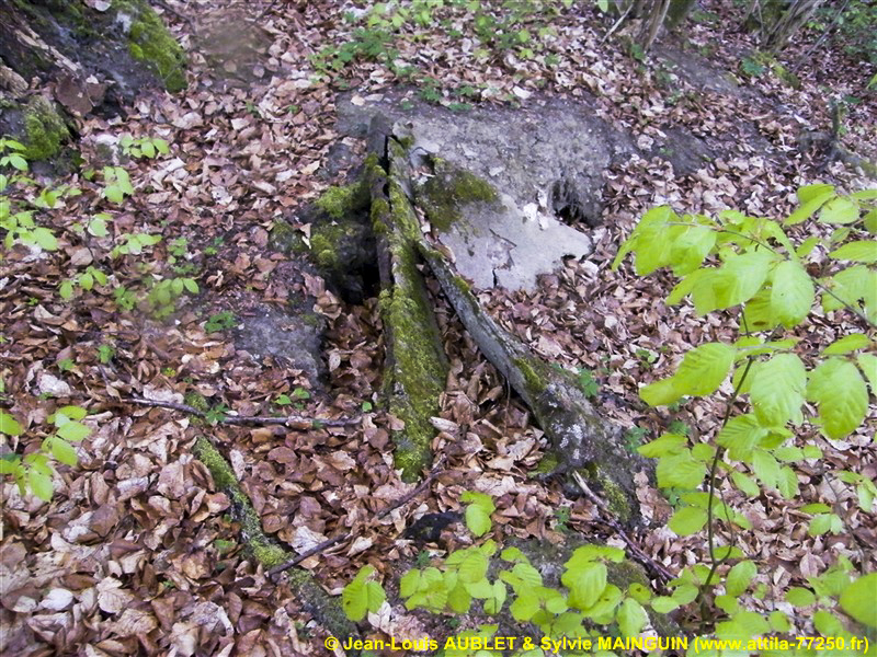 Ligne Maginot - C3 - SCHMELZBACH 1 - (Blockhaus pour canon) - 