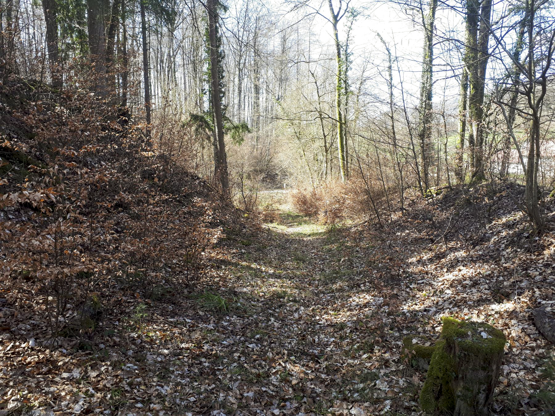 Ligne Maginot - C2 - SCHMELTZBACH 2 - (Blockhaus pour canon) - Le chemin creux permettant le transport du canon depuis la route - Gregory Fuchs