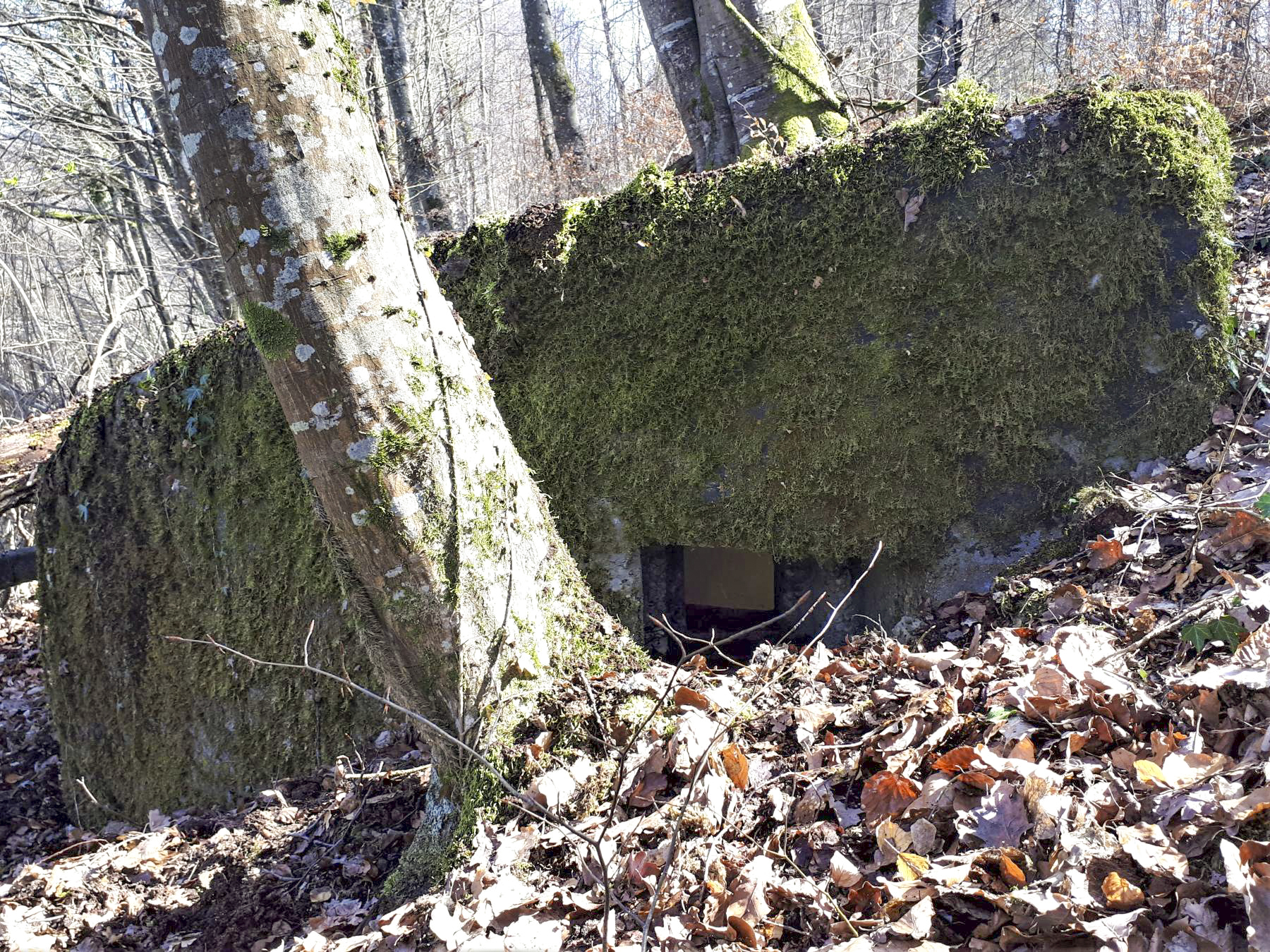 Ligne Maginot - C2 - SCHMELZBACH 2 - (Blockhaus pour canon) - Créneau latéral