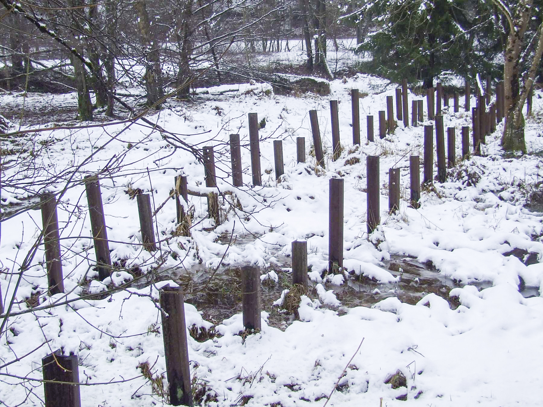 Ligne Maginot - TANNENBRUCK - POSTE GRM - (Poste GRM - Maison Forte) - Le réseau de rails anti-char