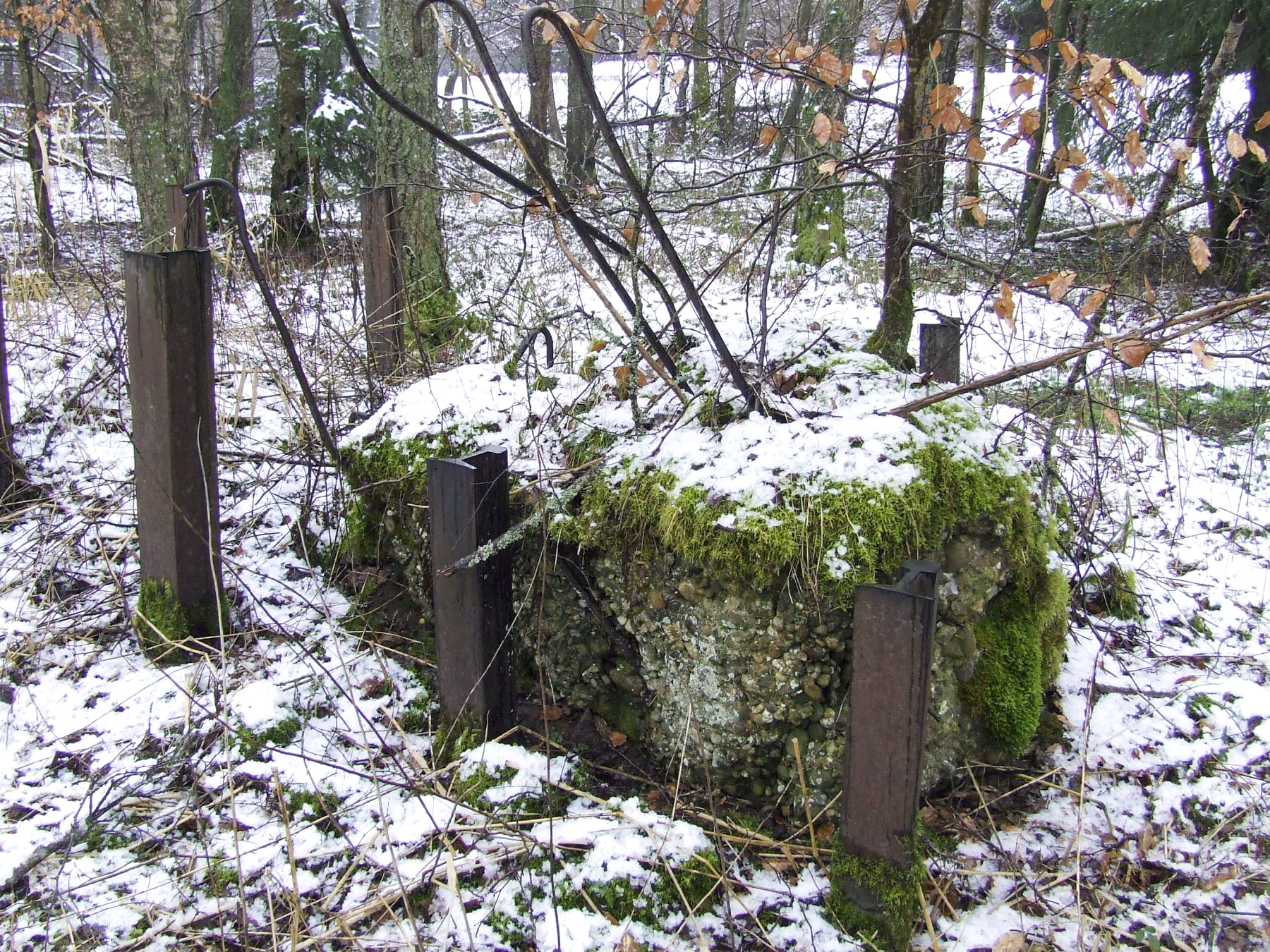 Ligne Maginot - TANNENBRUCK - POSTE GRM - (Poste GRM - Maison Forte) - Un bloc de béton du poste GRM au milieu du réseau anti-char
