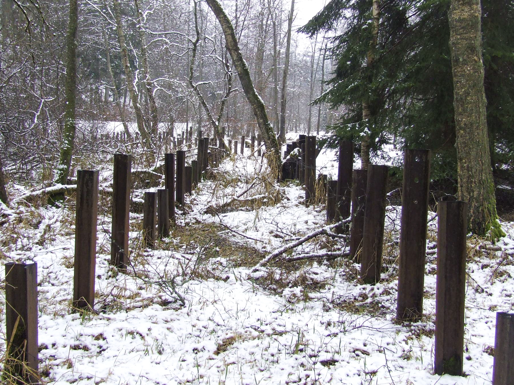 Ligne Maginot - TANNENBRUCK - POSTE GRM - (Poste GRM - Maison Forte) - Le réseau de rails anti-char