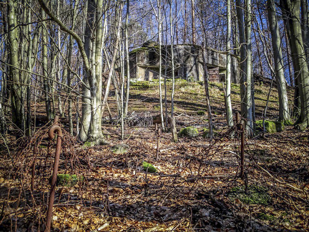 Ligne Maginot - TRAUTBACH CENTRE - (Blockhaus pour arme infanterie) - Réseaux toujours en place