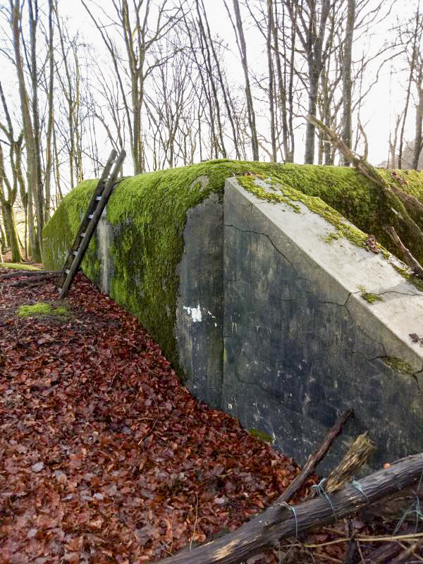 Ligne Maginot - C8B - KALMERICH 6 - (Blockhaus pour canon) - 