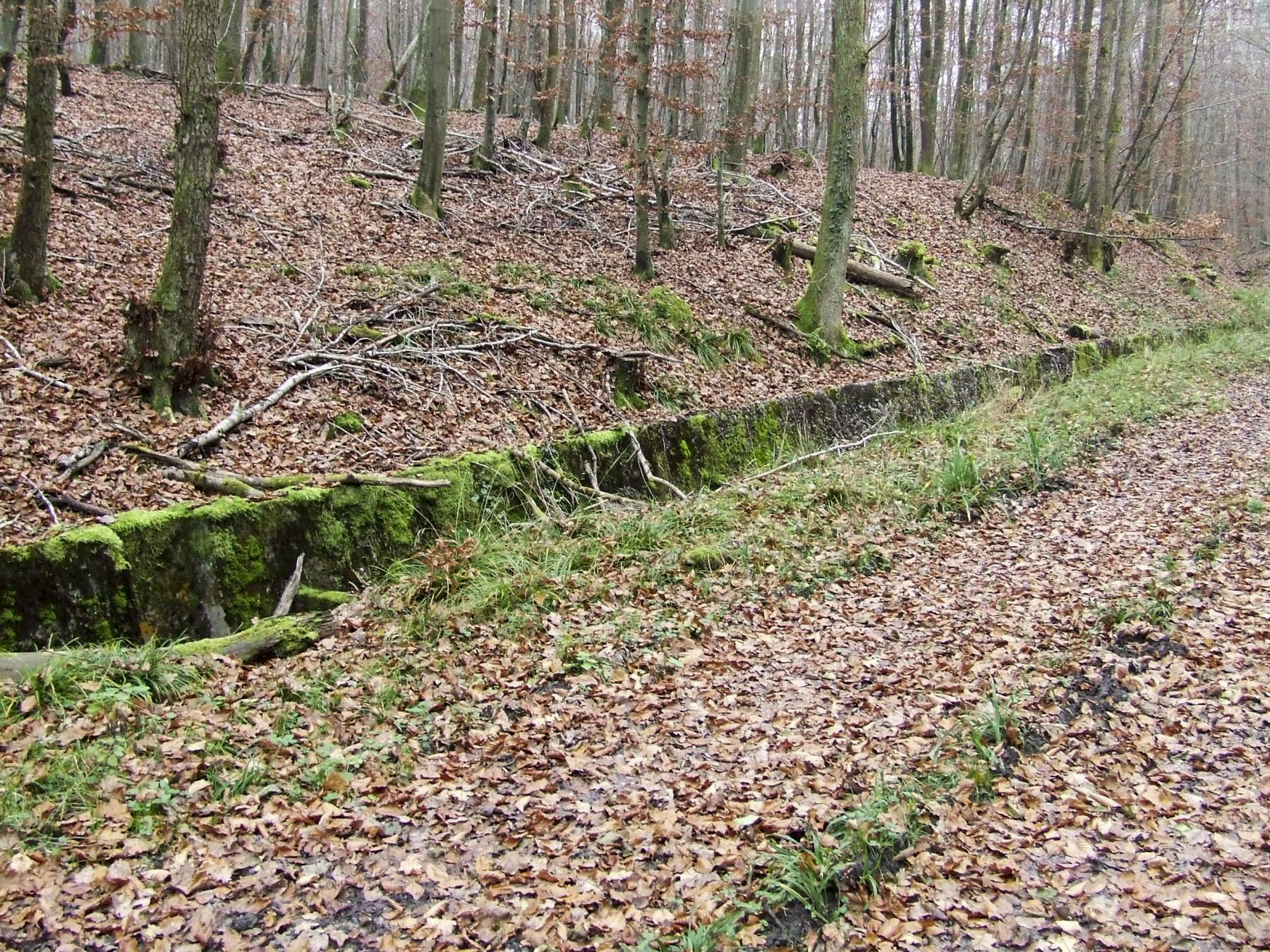 Ligne Maginot - VERLORENERBACH - (DMP - Dispositif de Mine Permanent) - La route stratégique vers le Four à Chaux - STENGER Mathieu