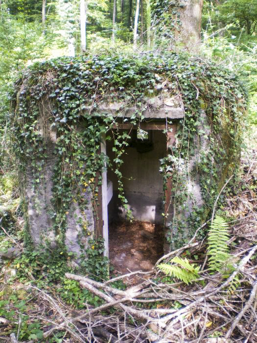 Ligne Maginot - FM14 - VERLORENERBACH 2 - (Blockhaus pour arme infanterie) - 