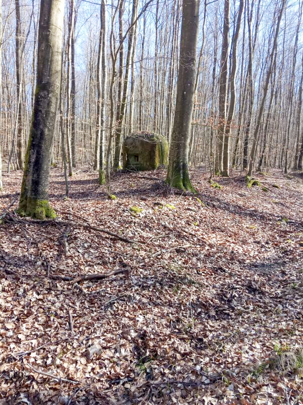 Ligne Maginot - FM52 - VERLORENERBACH 3 - (Blockhaus pour arme infanterie) -  - donceuh