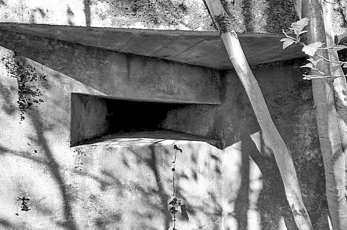 Ligne Maginot - DB1 - (Blockhaus pour canon) -  - Sylvie Laure LAMBERT