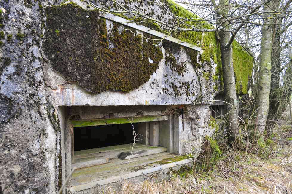 Ligne Maginot - DB2 - (Blockhaus pour canon) - Vue sur les créneaux - Pruzsina jérome