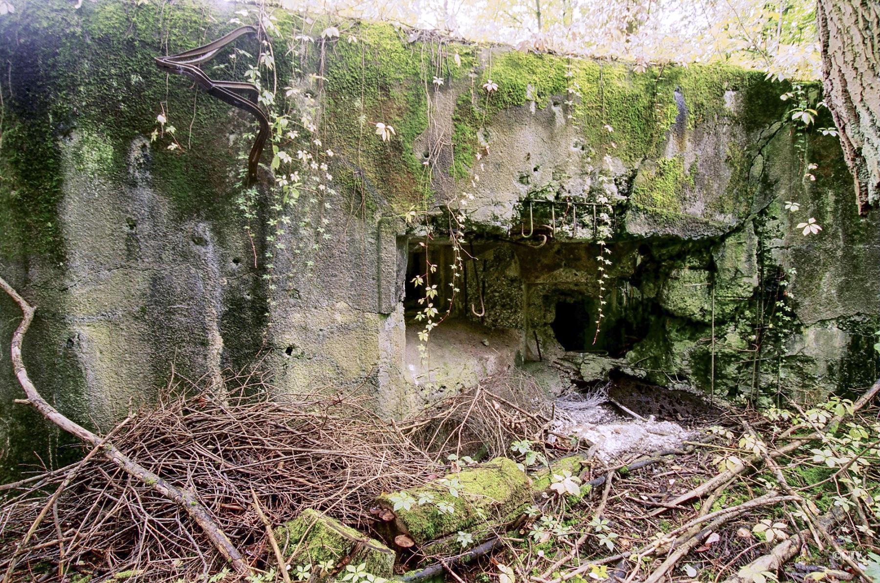 Ligne Maginot - VERRERIE - (Casemate d'infanterie - double) - 