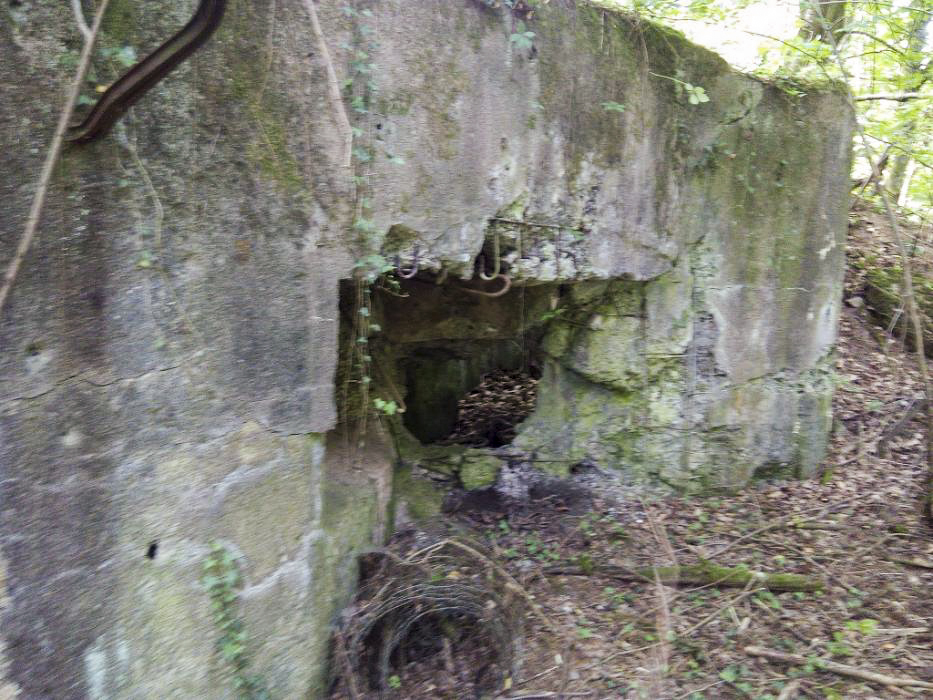 Ligne Maginot - VERRERIE - (Casemate d'infanterie - double) -  - donceuh