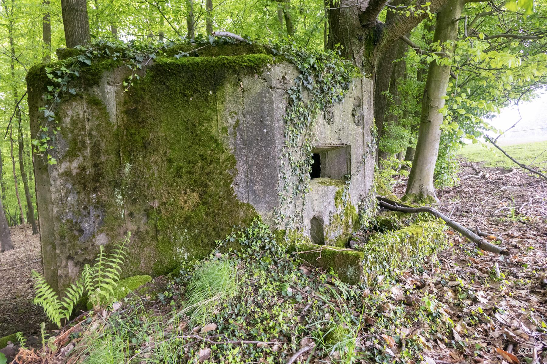 Ligne Maginot - M69 - VERRERIE 3 - (Blockhaus pour arme infanterie) - 