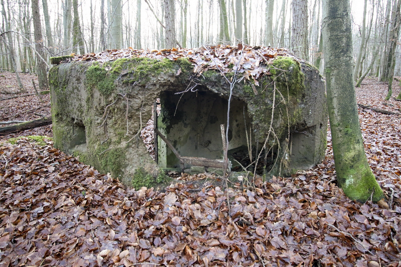 Ligne Maginot - M7 - VOEGELSMATT 2 - (Blockhaus pour arme infanterie) - 