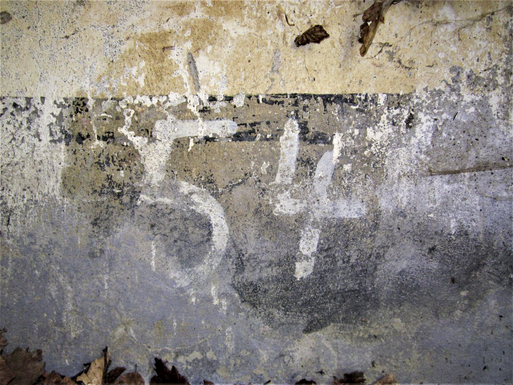 Ligne Maginot - FM45 - NONNENHARDT CENTRE 2 - (Blockhaus pour arme infanterie) - Marquage n°54 - Gregory Fuchs