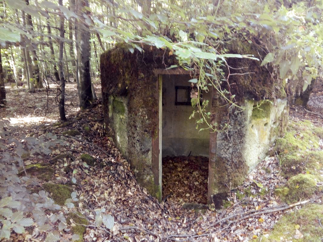 Ligne Maginot - FM25 - VOEGELSMATT 5 - (Blockhaus pour arme infanterie) - 
