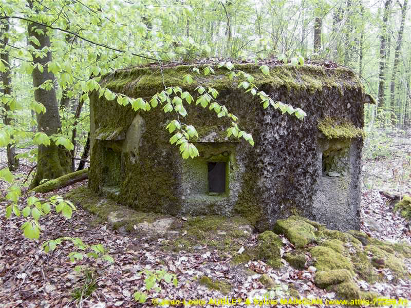 Ligne Maginot - FM20 - VOEGELSMATT 7 - (Blockhaus pour arme infanterie) - 