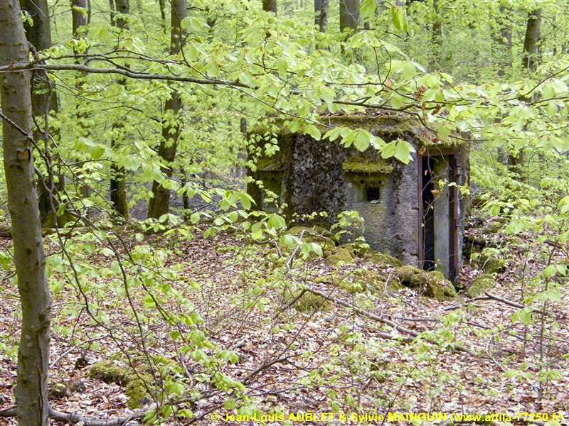 Ligne Maginot - FM20 - VOEGELSMATT 7 - (Blockhaus pour arme infanterie) - 