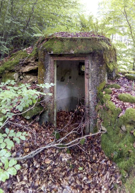 Ligne Maginot - FM17 - VOEGELSMATT 8 - (Blockhaus pour arme infanterie) - 