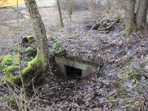 Ligne Maginot - WELSCHTHAL (Blockhaus pour arme infanterie) - 