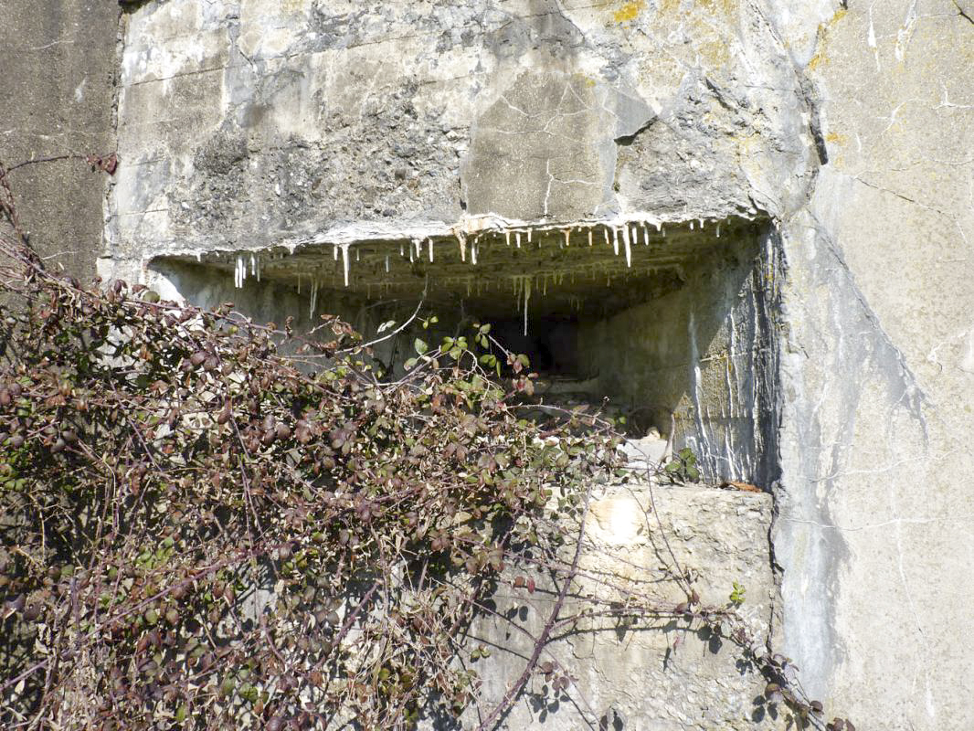 Ligne Maginot - A5 - PONT DE WATOU - (Blockhaus lourd type STG / STG-FCR - Double) - 
