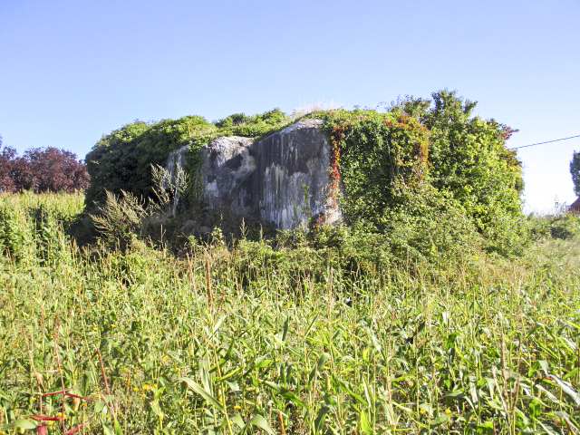 Ligne Maginot - A6 - EPI DE BLE - (Blockhaus lourd type STG / STG-FCR - Double) - Vue prise depuis la rue de l'Epi de blé.