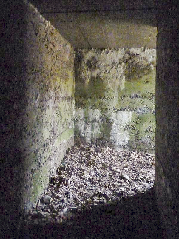 Ligne Maginot - B23 - NANCY - (Blockhaus pour arme infanterie) - 