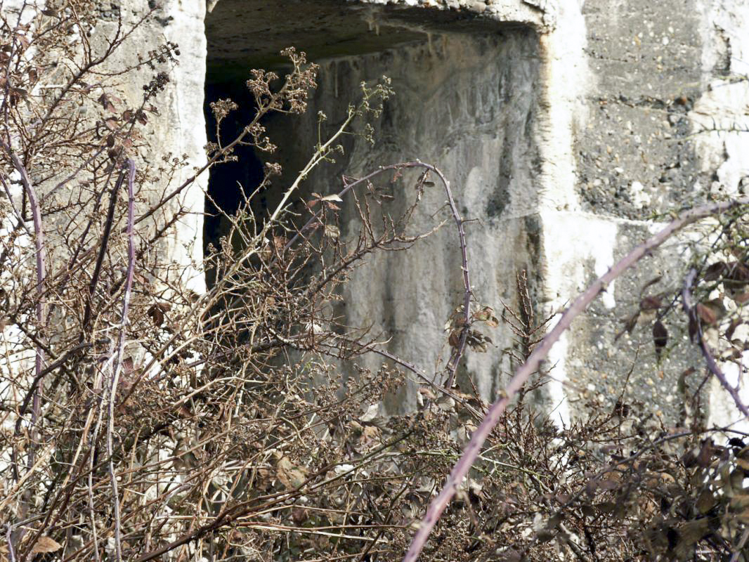 Ligne Maginot - B24 - BAR-LE-DUC - (Blockhaus pour arme infanterie) -  - JMBrams