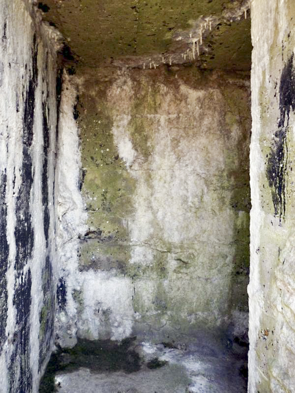 Ligne Maginot - B24 - BAR-LE-DUC - (Blockhaus pour arme infanterie) -  - JMBrams