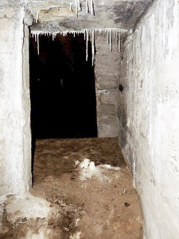 Ligne Maginot - B24 - BAR-LE-DUC - (Blockhaus pour arme infanterie) -  - JMBrams