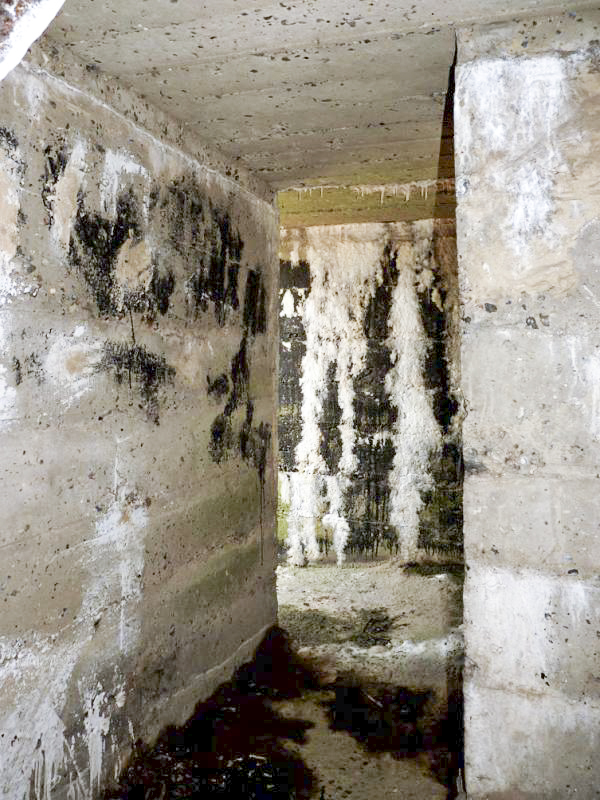 Ligne Maginot - B24 - BAR-LE-DUC - (Blockhaus pour arme infanterie) -  - JMBrams