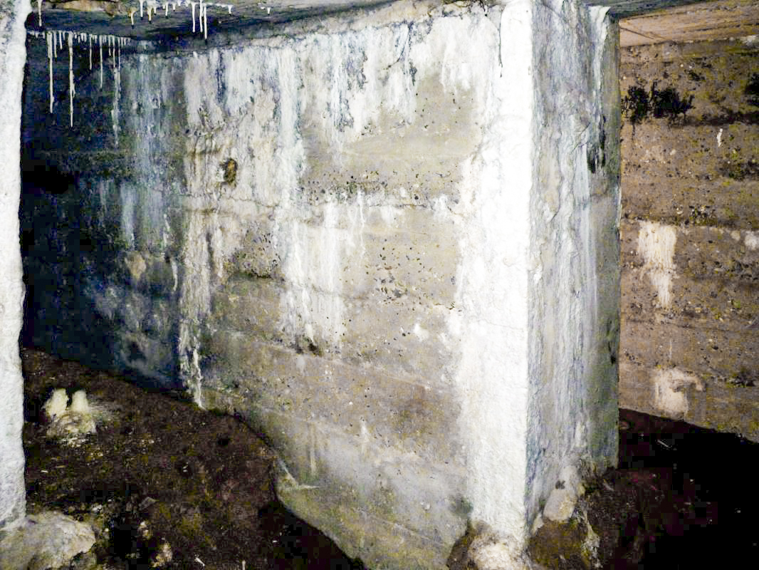 Ligne Maginot - B24 - BAR-LE-DUC - (Blockhaus pour arme infanterie) -  - JMBrams