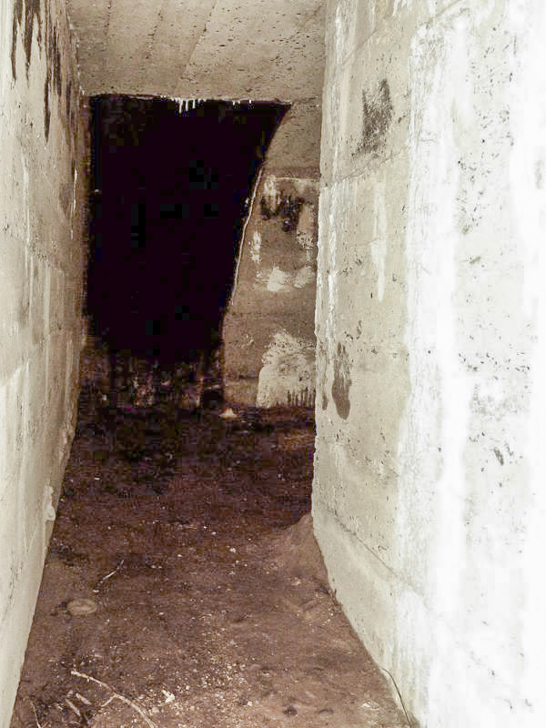 Ligne Maginot - B24 - BAR-LE-DUC - (Blockhaus pour arme infanterie) -  - JMBrams