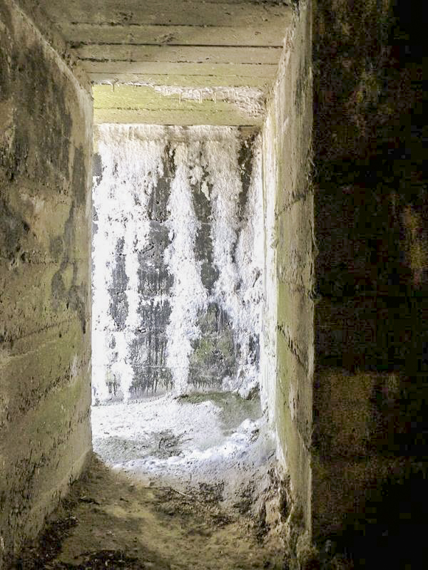 Ligne Maginot - B24 - BAR-LE-DUC - (Blockhaus pour arme infanterie) -  - JMBrams