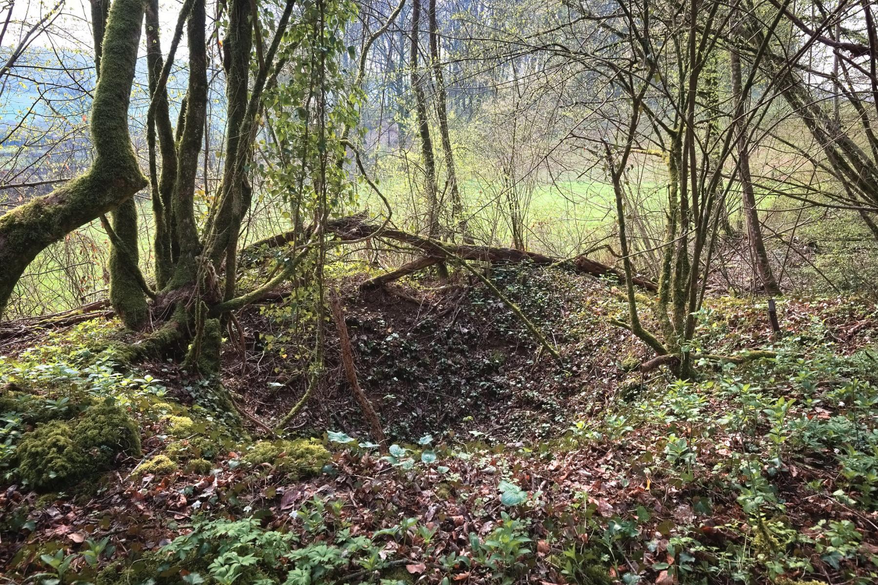 Ligne Maginot - G12 - (Blockhaus lourd type STG / STG-FCR - Simple) - Le sondage délimité par des piquets.