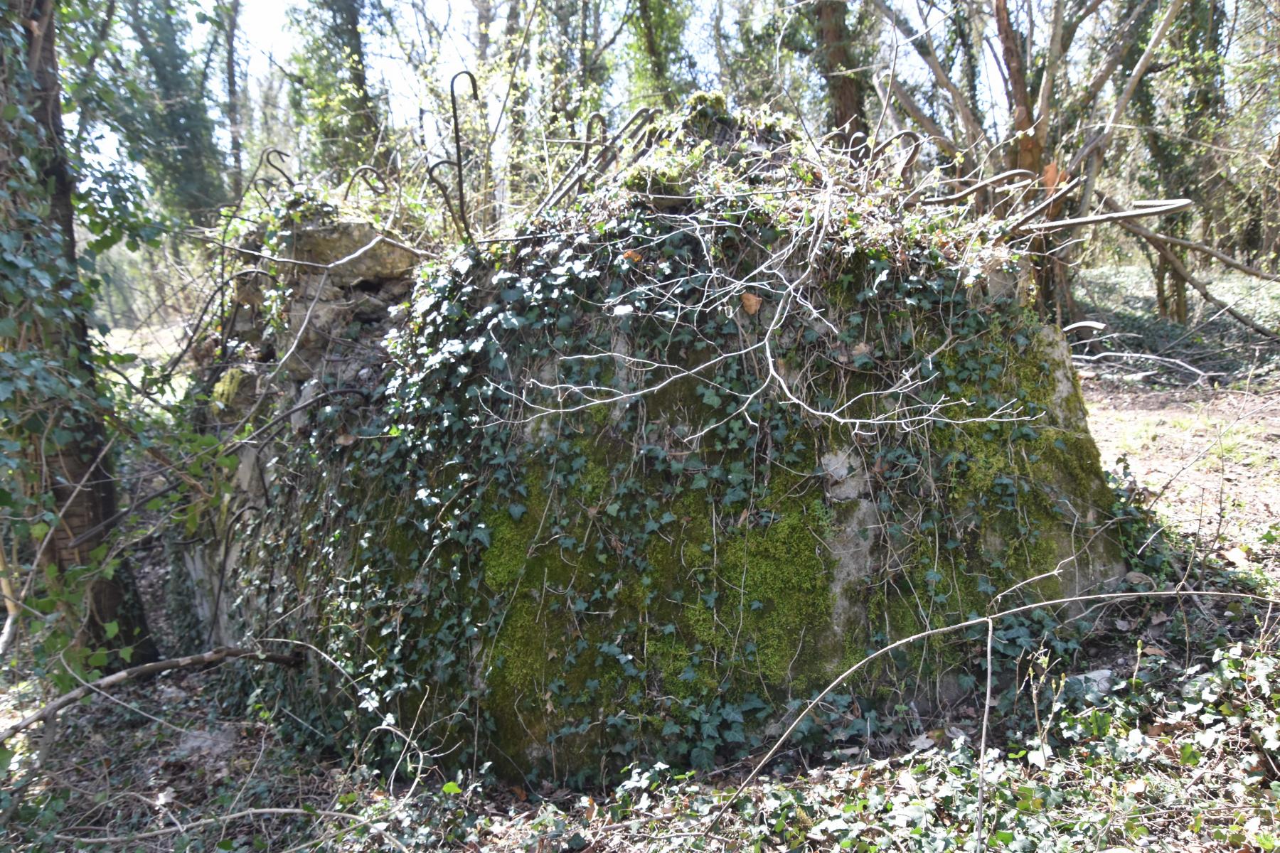 Ligne Maginot - G54 - PETIT-LANDAU BERGE 2 - (Blockhaus pour arme infanterie) - Côté berge du Rhin