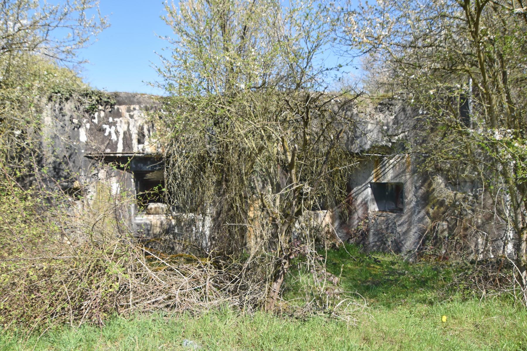 Ligne Maginot - 61/3 - OTTMARSHEIM SUD - (Casemate d'infanterie - Double) - Façade sud-créneaux canon a gauche et FM à droite