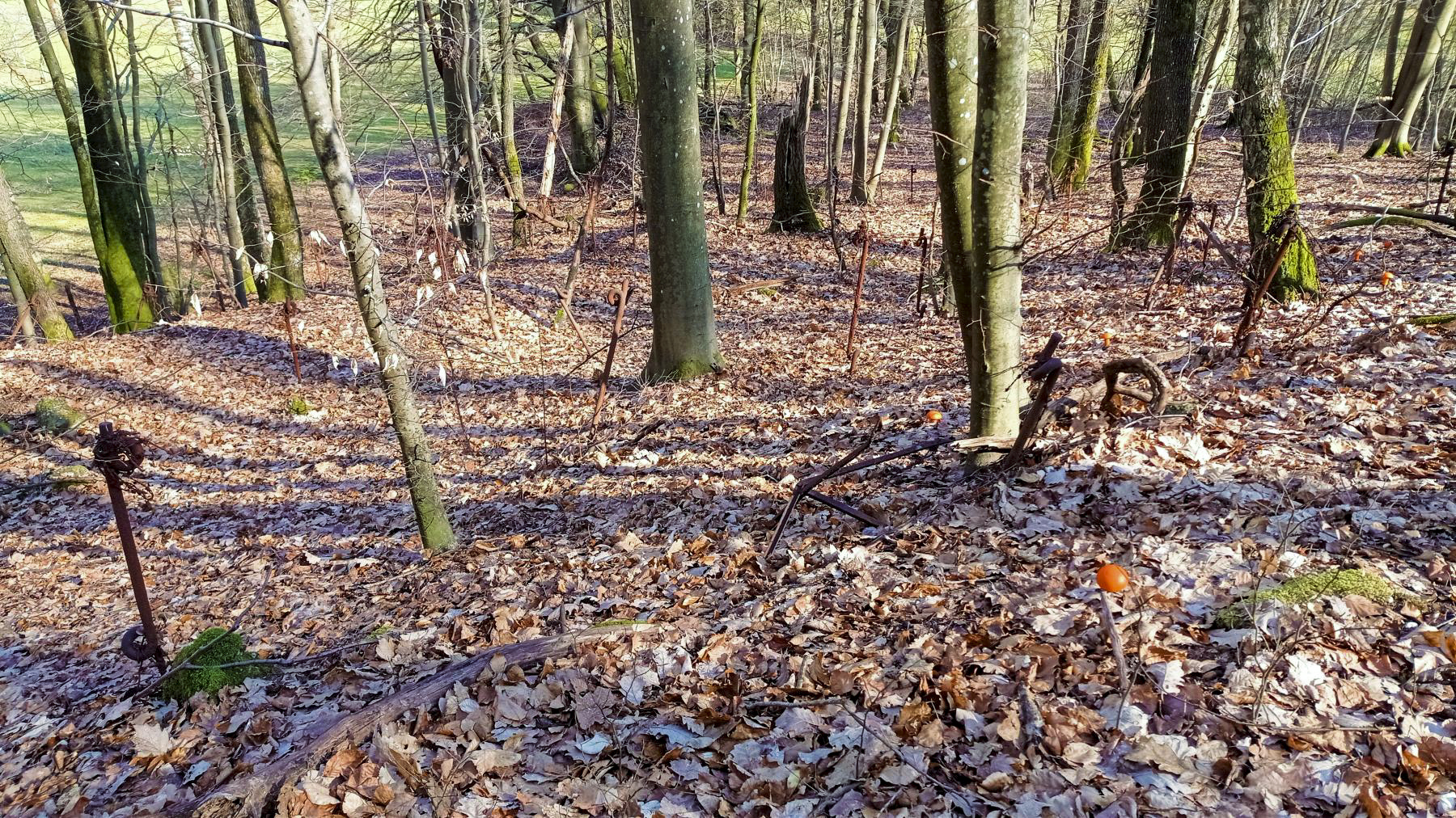 Ligne Maginot - GUNSTHAL FERME OUEST - (Blockhaus pour arme infanterie) - Le réseau bas, haut dessus du blockhaus
