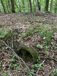 Ligne Maginot - VF60 - ANTENNE DE L'OUVRAGE DU FOUR-à-CHAUX - (RESEAU - Voie 60 - Antenne ou rocade ferroviaire) - Le type de passage sous talus pour les ruisseaux le long de la voie.
Noter la faible qualité de finition avec, une buse simplement posée.