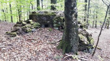 Ligne Maginot - FM41 - GRAND MUEHLBERG 1 - (Blockhaus pour arme infanterie) - Créneau de droite