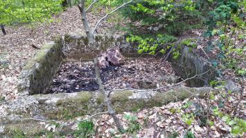 Ligne Maginot - GUNSTHAL COL - Un encuvement indéterminé derrière les blockhaus, sur l'arête du Diebskopf