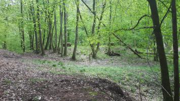 Ligne Maginot - TRAUTBACH OUEST - (Blockhaus pour arme infanterie) - Du coté ennemi seul les cloches GFM sont visibles