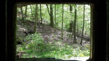 Ligne Maginot - TRAUTBACH OUEST - (Blockhaus pour arme infanterie) - Vue depuis le créneau Ouest